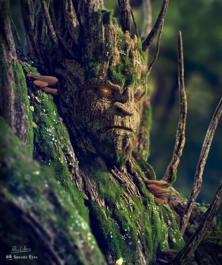 Bigfoot Audio Recording Cleaned Up And Analyzed YouTube