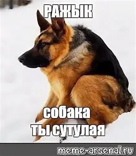 Meme #37270 2023 GR VK