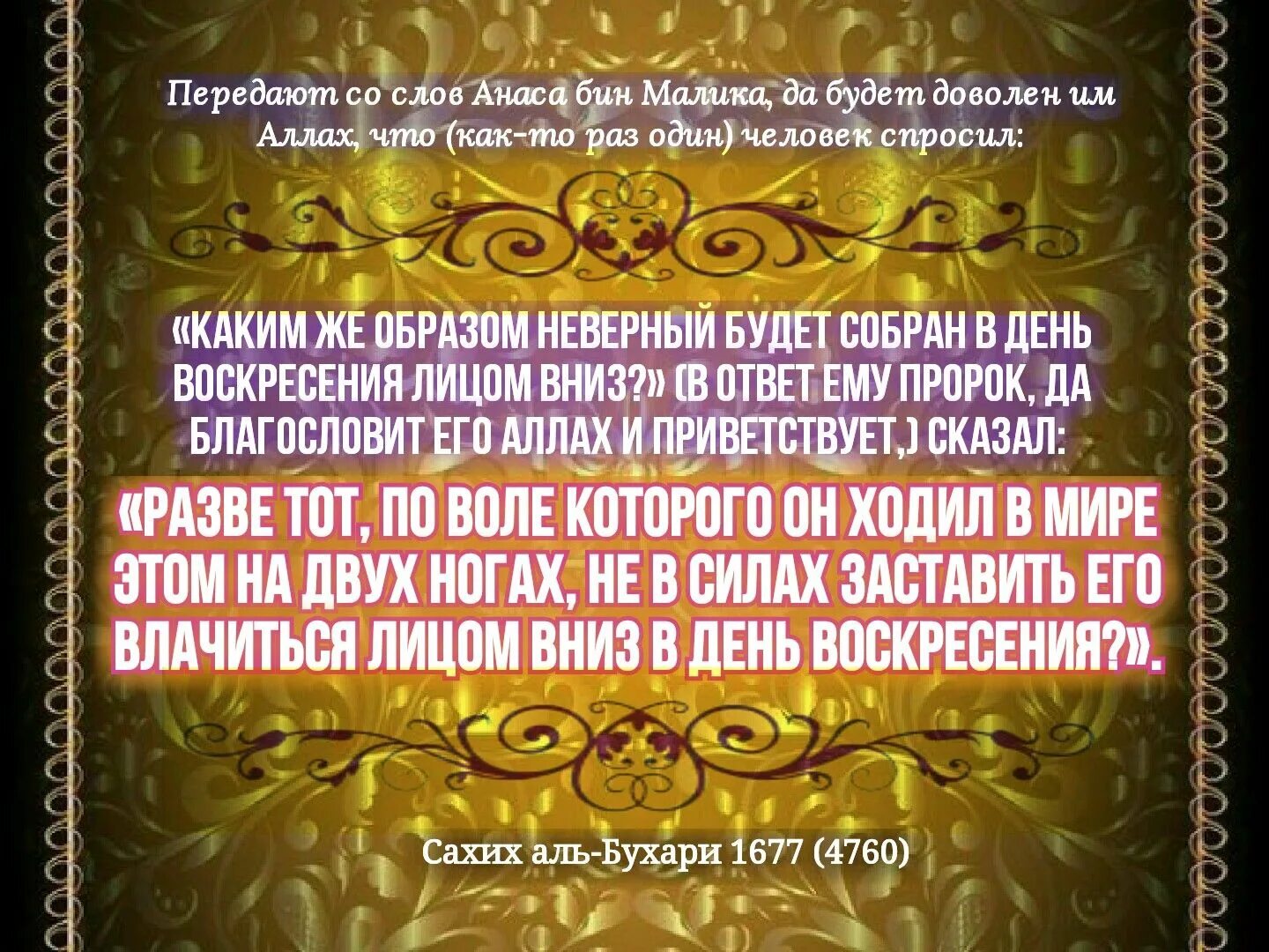 Сахих хадисы достоверный. Сахих хадисы достоверный