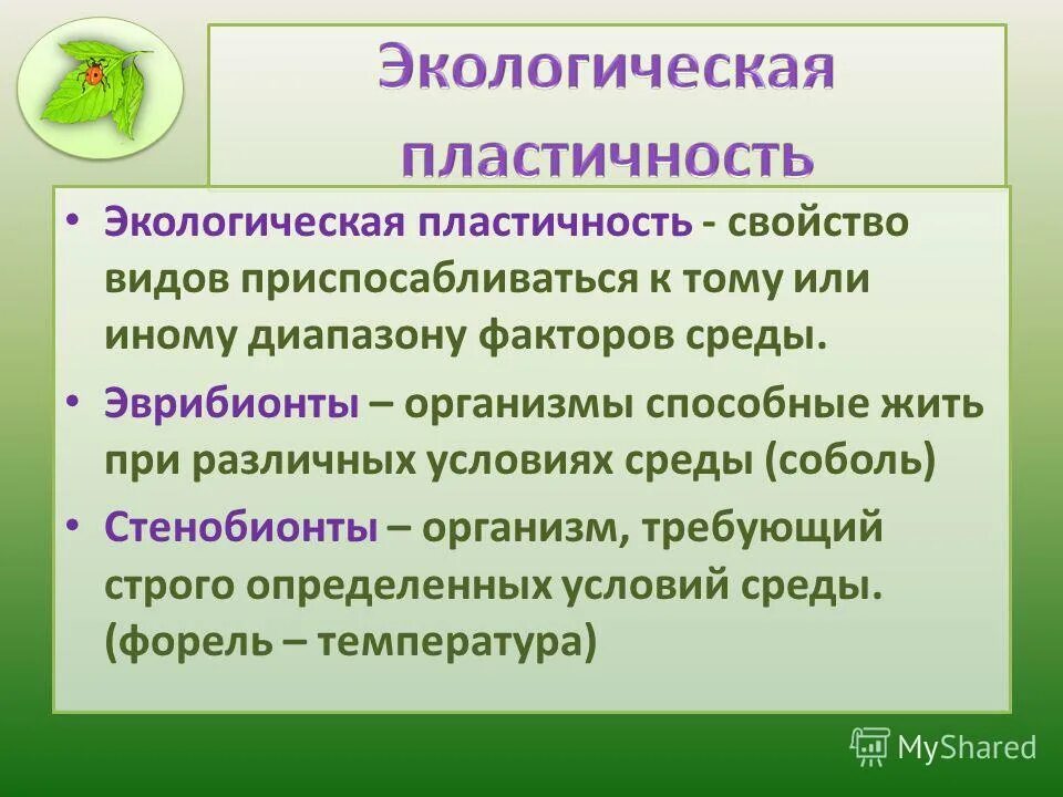 Тест организмы и окружающая среда. Экологическая пластичность. Экологические пласаичность. Экологическая ПЛАСТИНЧАТОСТЬ.