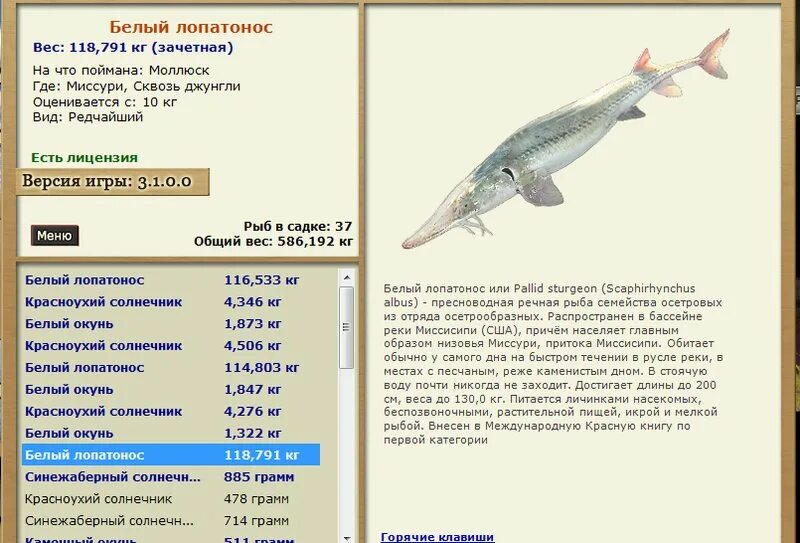 Лопатонос на что ловить турниры * РУССКАЯ РЫБАЛКА