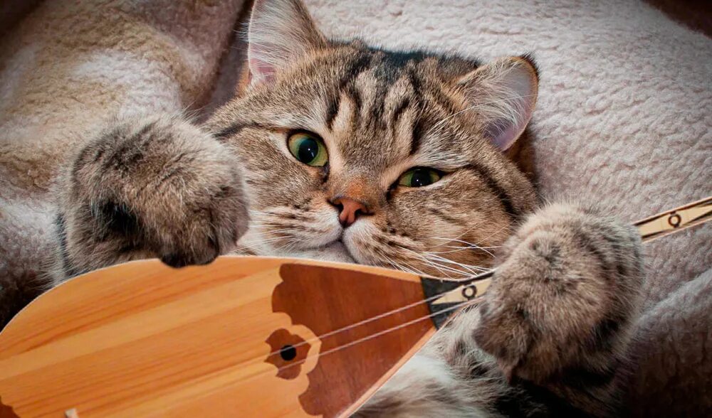 Наурыз коты был сын. Наурыз коты был сын