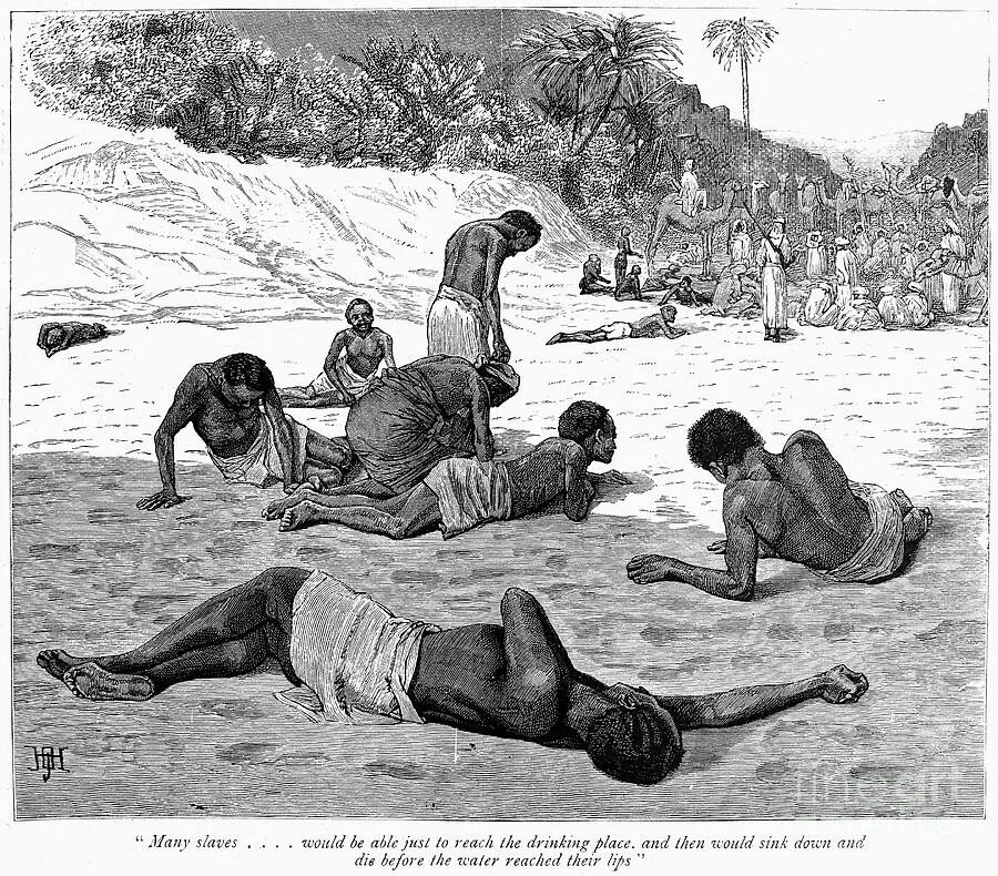 занзибар работорговля 1873. грязные унижения рабов. работорговля картины. работорговля африки 18 века. грязные унижения рабов.