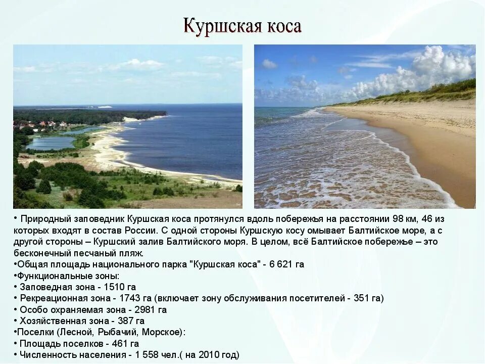 Сообщение про куршскую косу