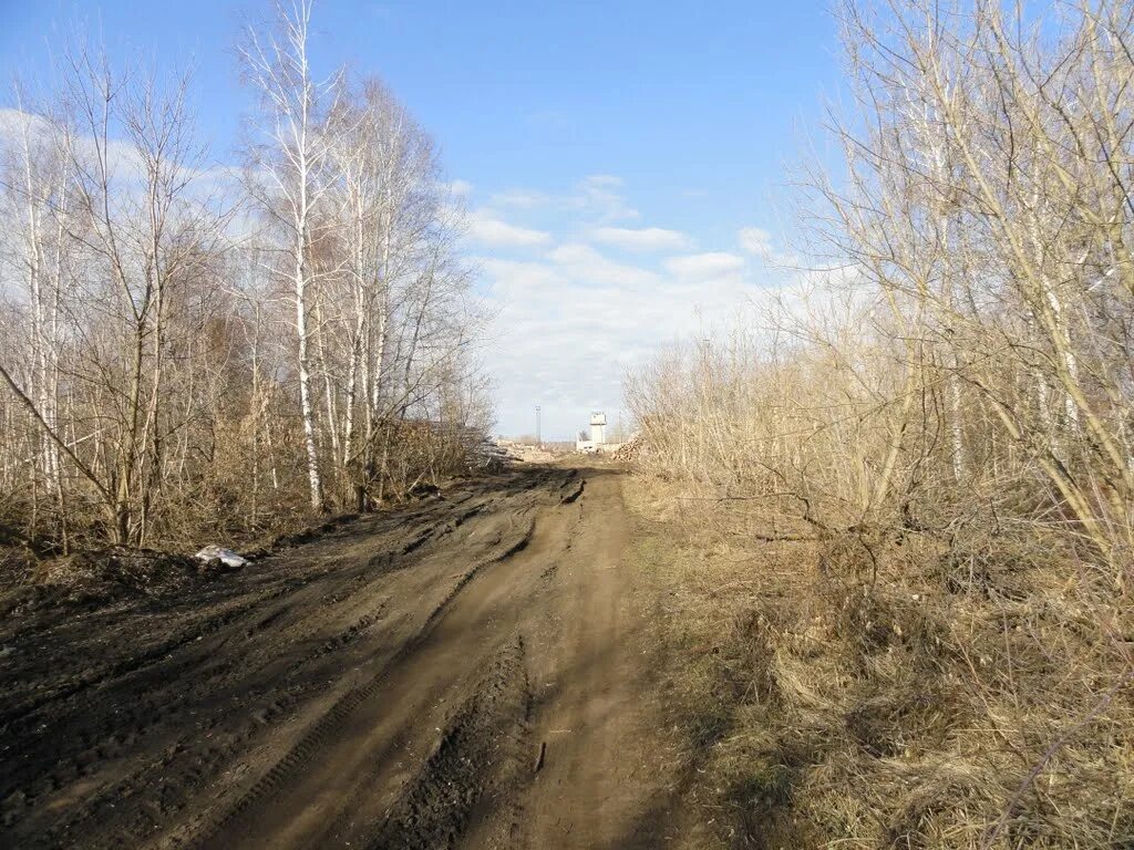 Бакшеево московская область