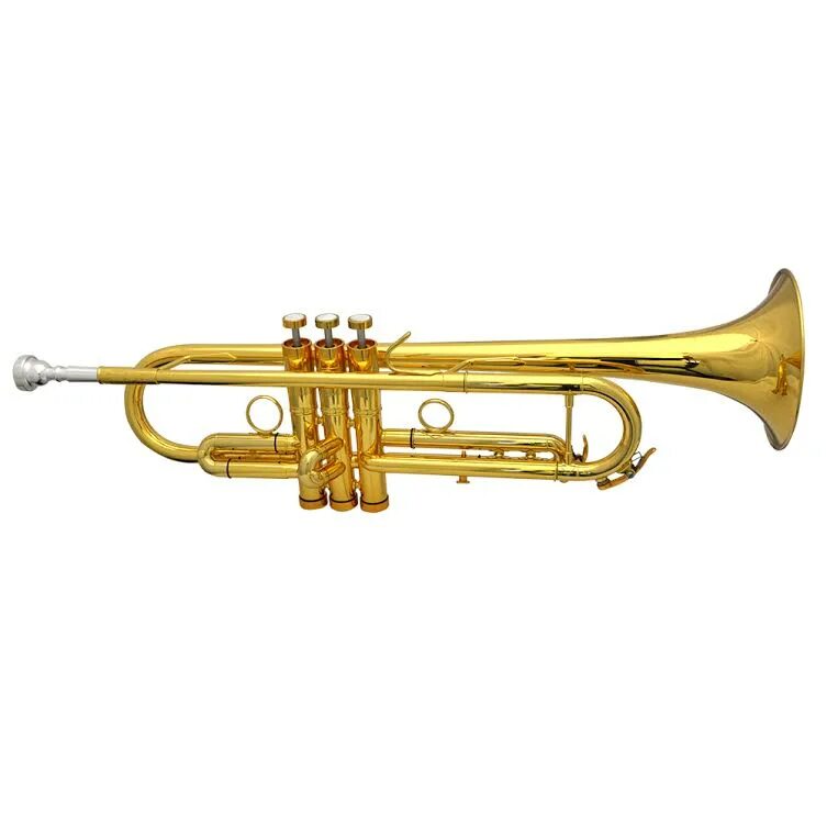 Roy benson tr-101 bb r труба. Как называется инструмент труба. Музыкальная труба. Медные духовые инструменты - труба, труба, тромбон, валторна. Бас труба духовой инструмент.