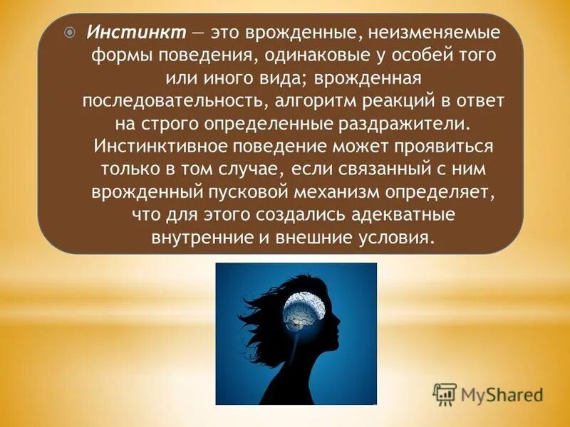 Врожденное поведение инстинкт. Инстинкт это в обществознании. Инстинкты человека. Инстинкт это кратко. Дайте определение понятию инстинкт.