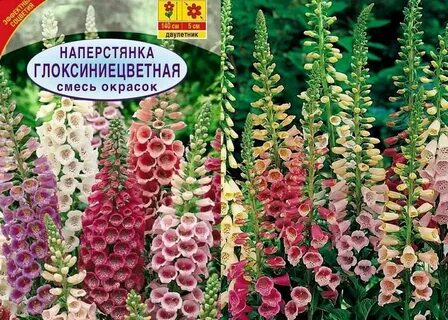 Наперстянка семена