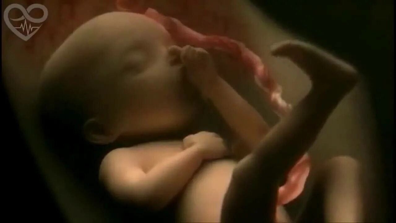 Ребенок плачет в утробе. Малыш в утробе в 22 недели беременности. Плод 21-22 недели беременности. Ребенок в утробе на 21 неделе беременности. Зародышей на 21 недели беременности.