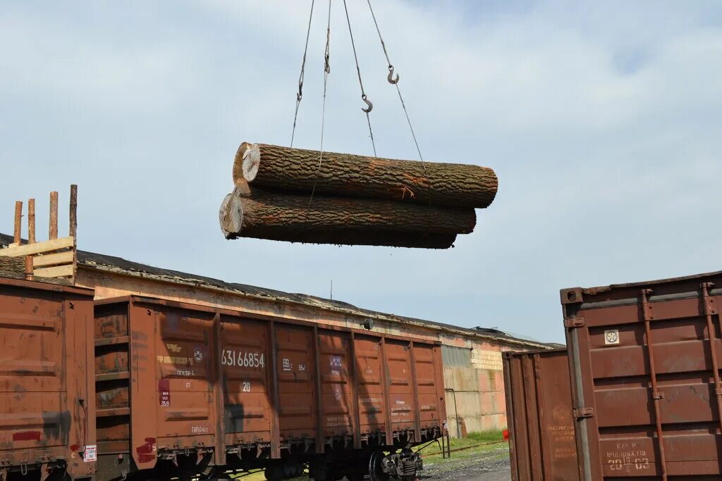 пиломатериалы железнодорожная. погрузка вагонов пиломатериалом. крона вагонка. пиломатериалы железнодорожная. погрузка пиломатериала в полувагон.