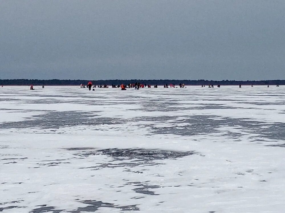 Ледовая обстановка на Ладоге. Ладожское озеро состояние льда. Чёрное Ладожское озеро. Ледовая обстановка на Ладоге на сегодня. Ледовая на ладоге