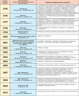 25 участок выборы