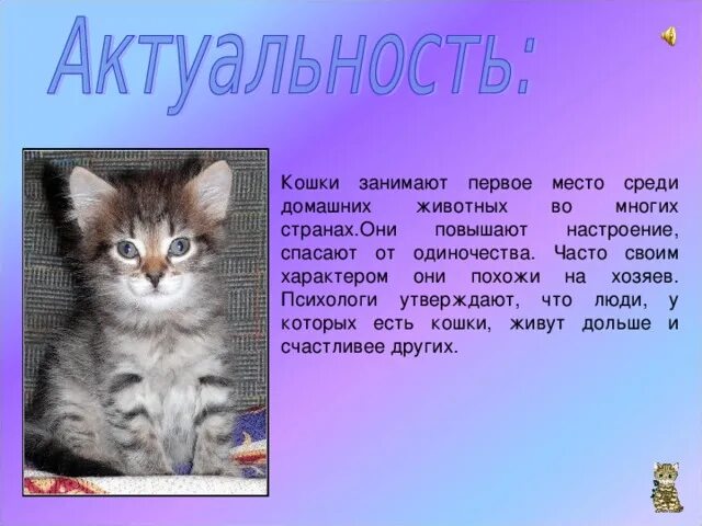 Презентация на тему: "Абиссинская кошка Выделяются своей королевской 5B3
