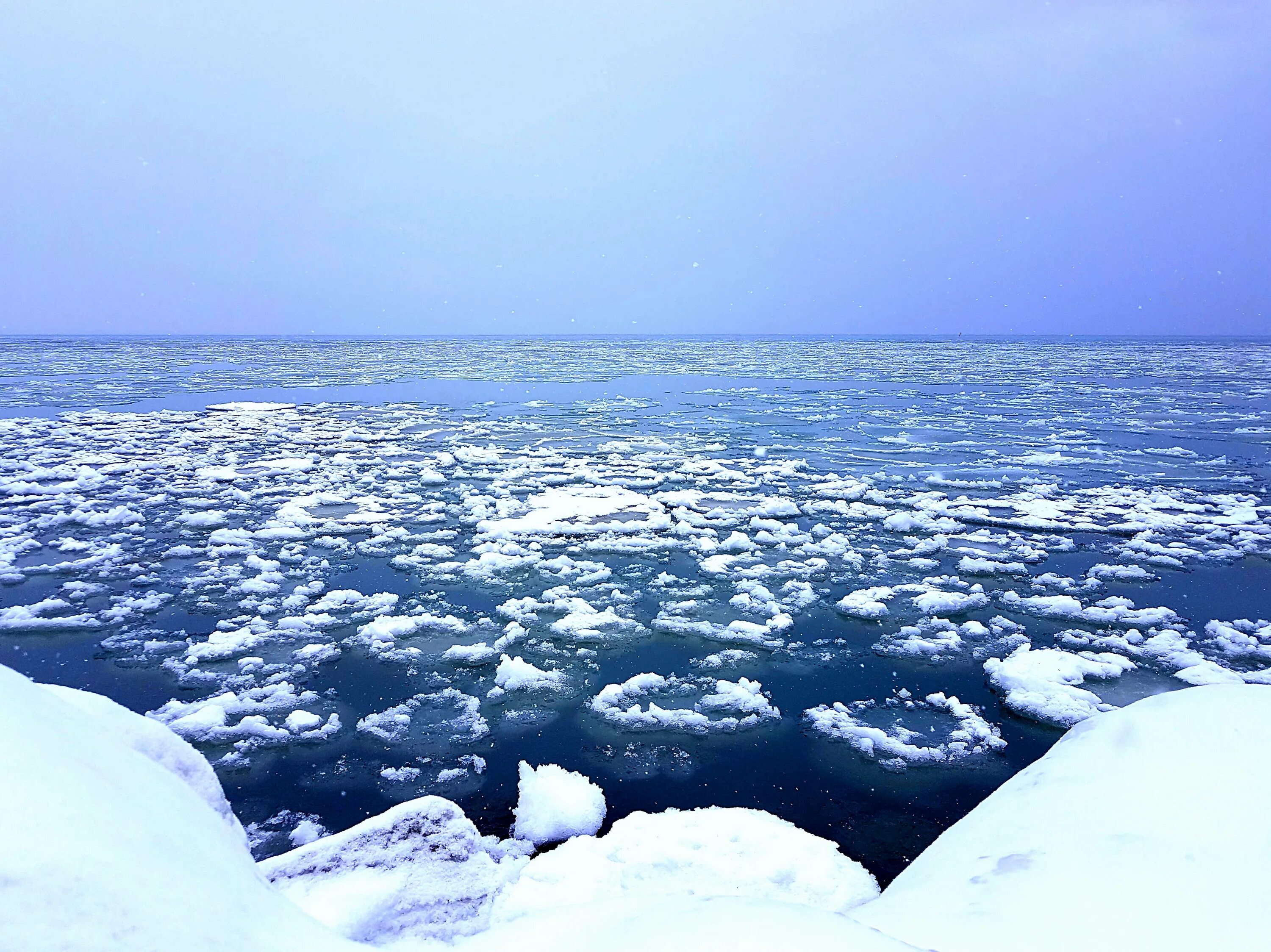 Океан Северный Ледовитый океан. Арктика Северный Ледовитый океан. Северный Ледовитый океан лед море. Северно Ледовитый океан канадский архипелаг.