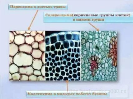 Покровная ткань древесные волокна