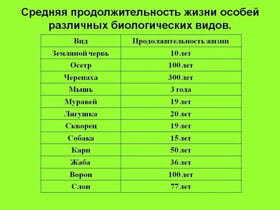 Продолжительность жизни мыши. Сколько лет живут животные таблица. Средняя Продолжительность жизни животных таблица. Продолжительность жизни разных животных таблица. Продолжительность жизни животных 1 класс таблица.