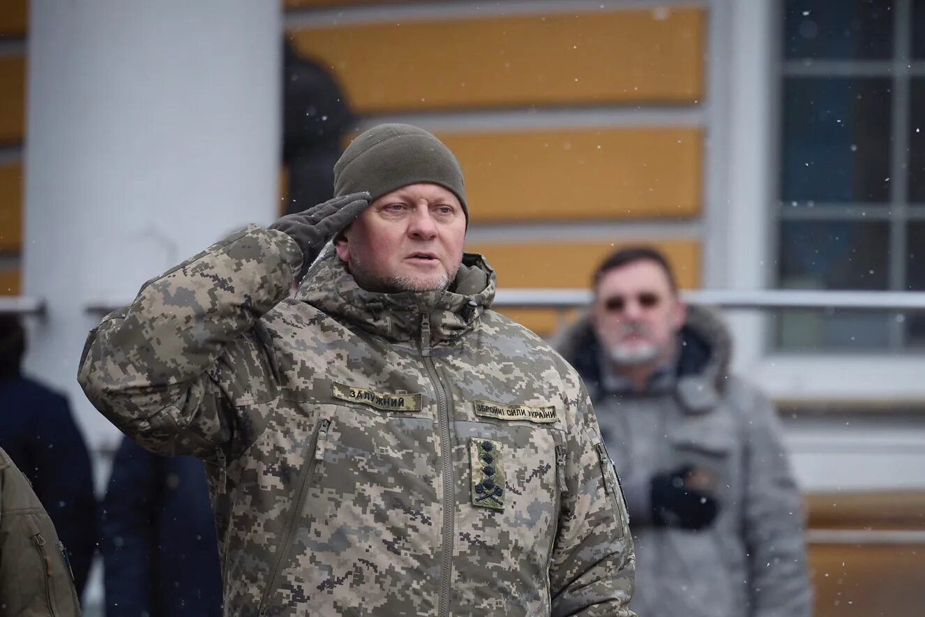 Валерием федоровичем залужным