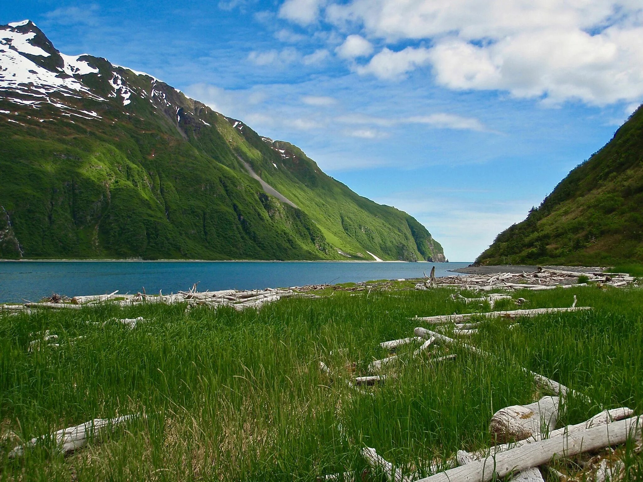 Зеленая аляска. Национальный парк Кенай-Фьордс. Кенай-Фьордс Аляска. Полуостров Кенай Аляска. Кенай (национальный резерват дикой природы).