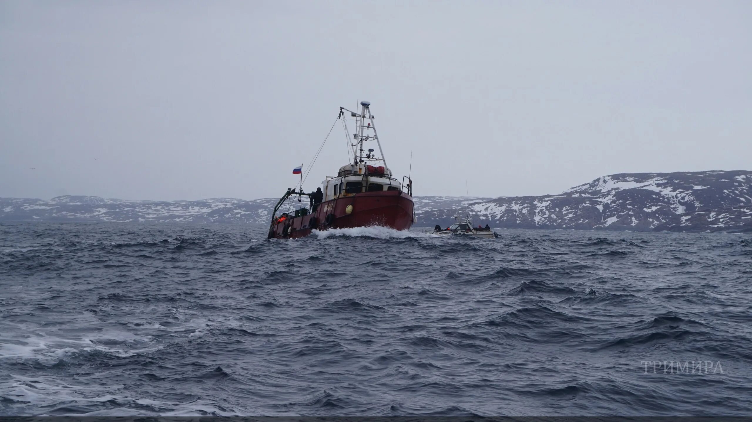 Териберка рыбалка в Баренцевом море. Морская рыбалка Териберка. Судно акула Териберка. Морская прогулка Териберка. Британцы ловят рыбу в баренцевом море