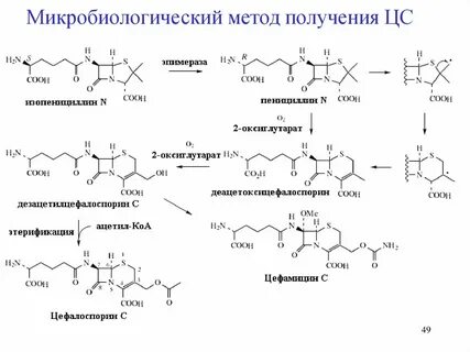 Получение антибиотиков