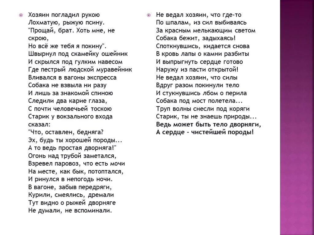 Асадов стихи о рыжей дворняге. Стихи о дворняге Эдуарда Асадова. Стих Эдуарда Асадова про собаку.