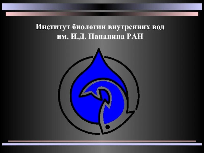 Институт биологии внутренних вод РАН. Борок институт биологии внутренних вод. ИБВВ РАН Борок. ФГБУН ИБВВ РАН им. и. д. Папанина.