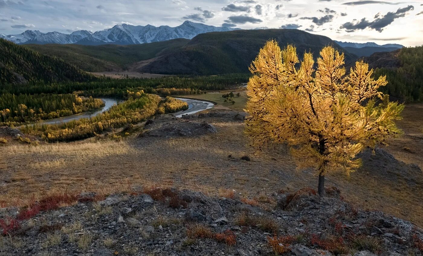 Солнечный алтай