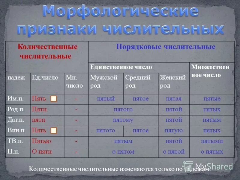 Первый это количественное или порядковое числительное. Первый это количественное или порядковое числительное