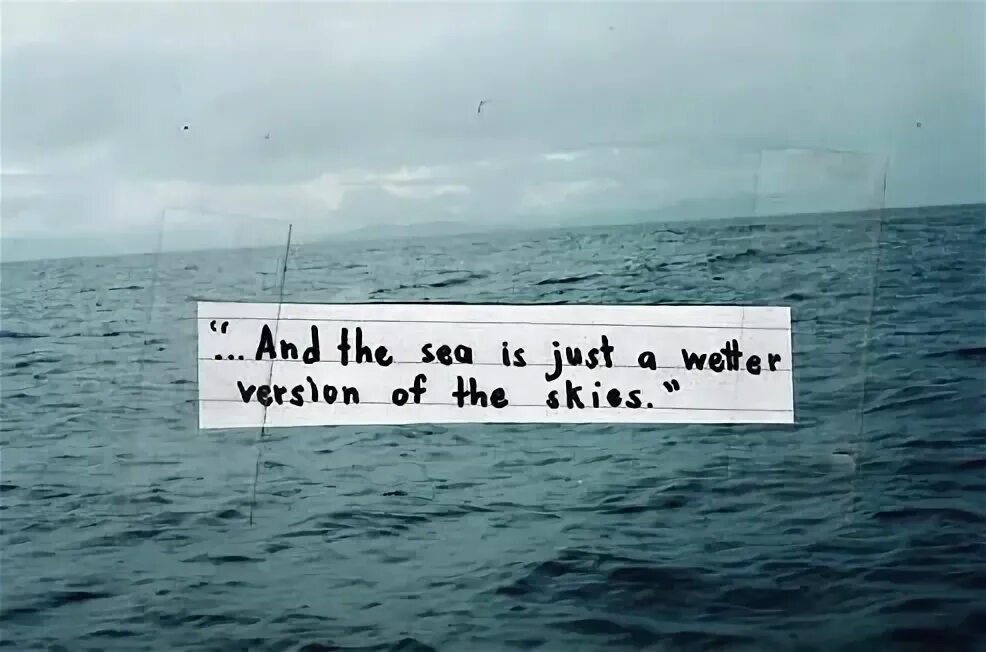 Sea word. Перевод текста из изображения. Море цитаты красивые. Water quotes. Морские обитатели на английском для детей.