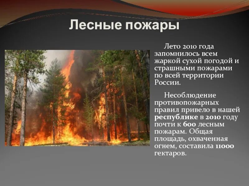 Сведения о лесных пожарах в России. Доклад на тему Лесные пожары. Лесные пожары презентация. Сообщение о лесных пожарах.