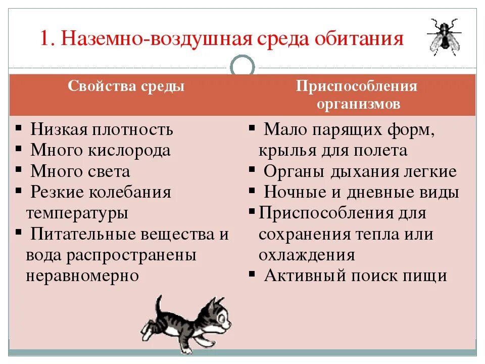 Наземно воздушная среда приспособления животных. Приспособления организмов к наземно-воздушной среде обитания. приспособления к наземно-воздушной среде обитания. приспособления животных к наземно-воздушной среде обитания. наземно-воздушная среда обитания характеристика.