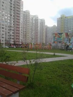 Лес в видном