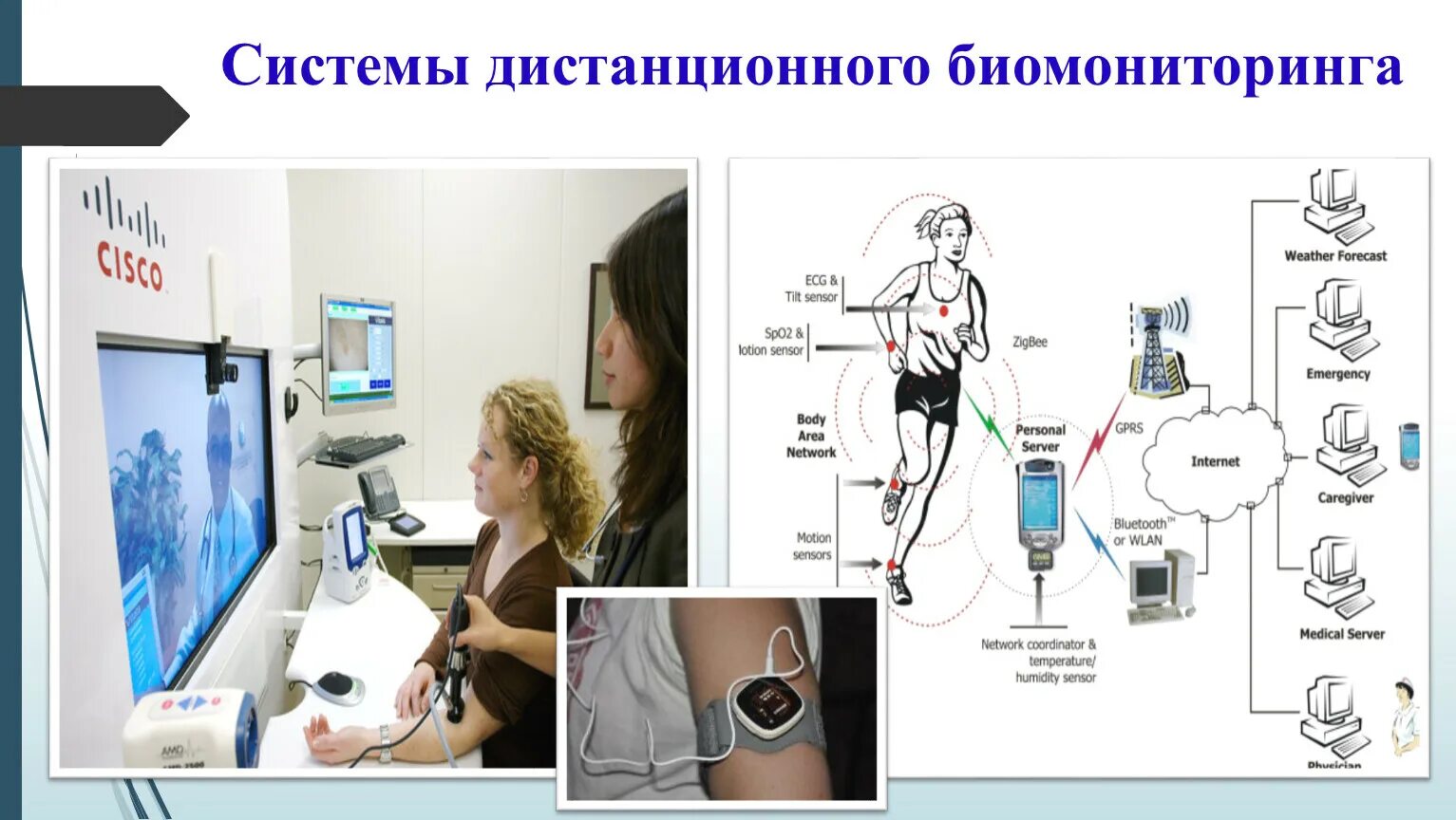 Заочная система. Системы дистанционного биомониторинга. Системы дистанционного биомониторинга включают. Системы дистанционного биомониторинга в режиме реального. Системы дистанционного биомониторинга картинки.