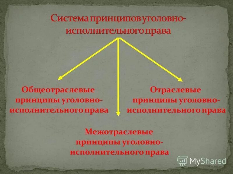 Уголовно исполнительный этап. Отраслевые принципы в уголовно-исполнительном законодательстве.