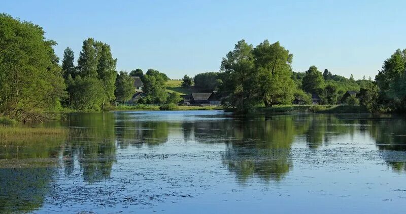 Холмские пруды холмская. Стрельбищенский пруд косая гора. Артемьевский пруд в ропше. Холмские пруды. Холмские пруды.