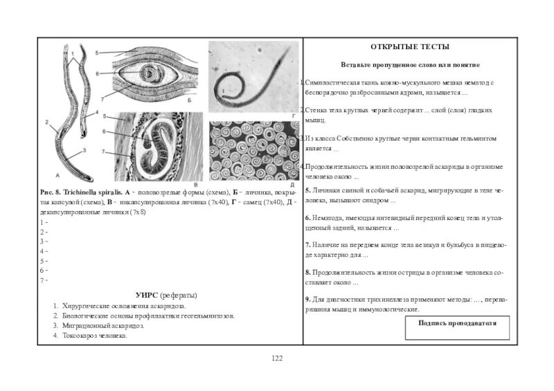 Кожно мускульный круглые черви. Круглые черви класс нематоды 7 класс конспект. Конспект по теме Тип круглые черви. Тип круглые черви 7 класс биология. Конспект по биологии 7 класс круглые черви нематоды.