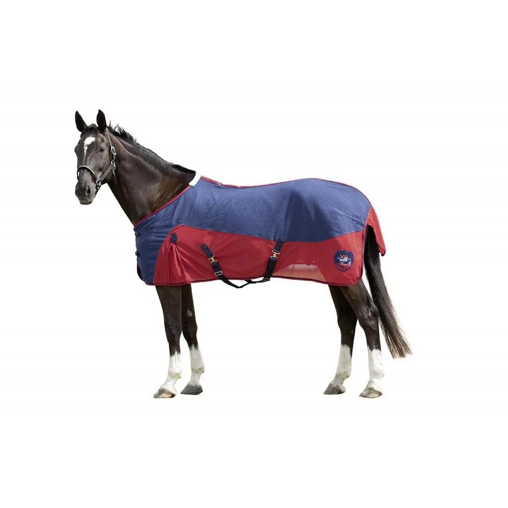 Конный магазин best new horse. Серебряная подкова магазин конный. Хорс мастер. Луки седла. Изумрудный вальтрап.