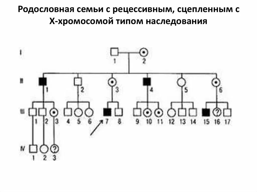 Х сцепленный рецессивный Тип наследования родословная. Генеалогическое Древо x-сцепленный рецессивный Тип наследования. Х-сцепленное рецессивное наследование родословная. Генеалогический метод гемофилия.