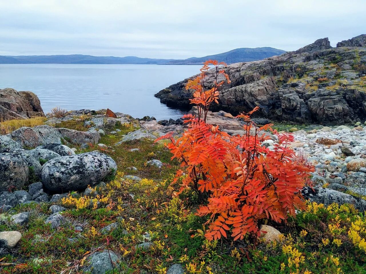 Баренцево море заполярье. Побережье баренцева моря кольский. Кольского полуострова в баренцевом море. Кольский полуостров баренцево море. Кольский полуостров киты.