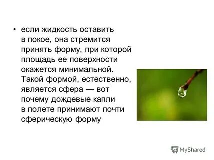 Если жидкость в покое то ее поверхность
