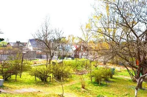 Прогноз погоды в кузьмолово ленинградской
