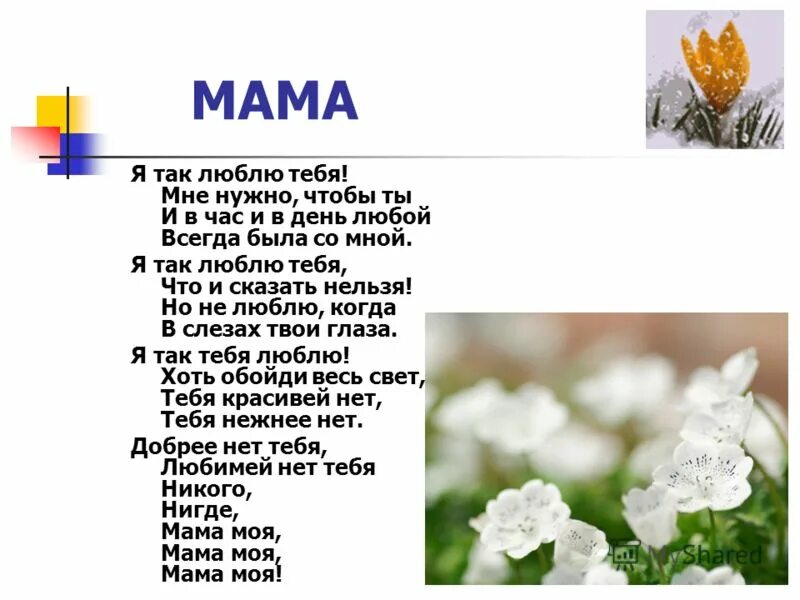 Я твоя мама я тебе рада песня. Андрюша я тебя люблю картинки. Я твоя мама я тебе рада песня. Спасибо твоей маме за тебя. Песенка про маму текст.