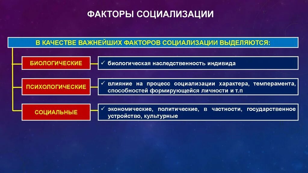 Факторы влияния на процесс социализации. Биологические факторы социализации. Какие факторы влияют на процесс социализации. Какие факторы влияют на социализацию личности. Влияние социальной группы на индивида