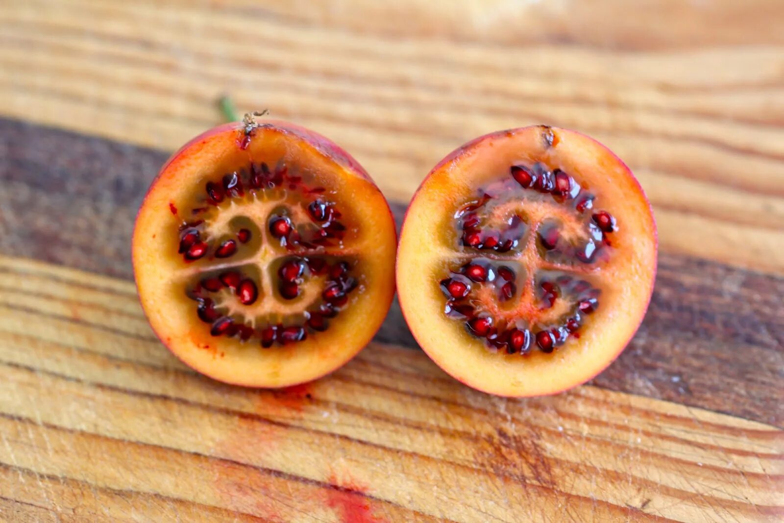 Tree tomatoes