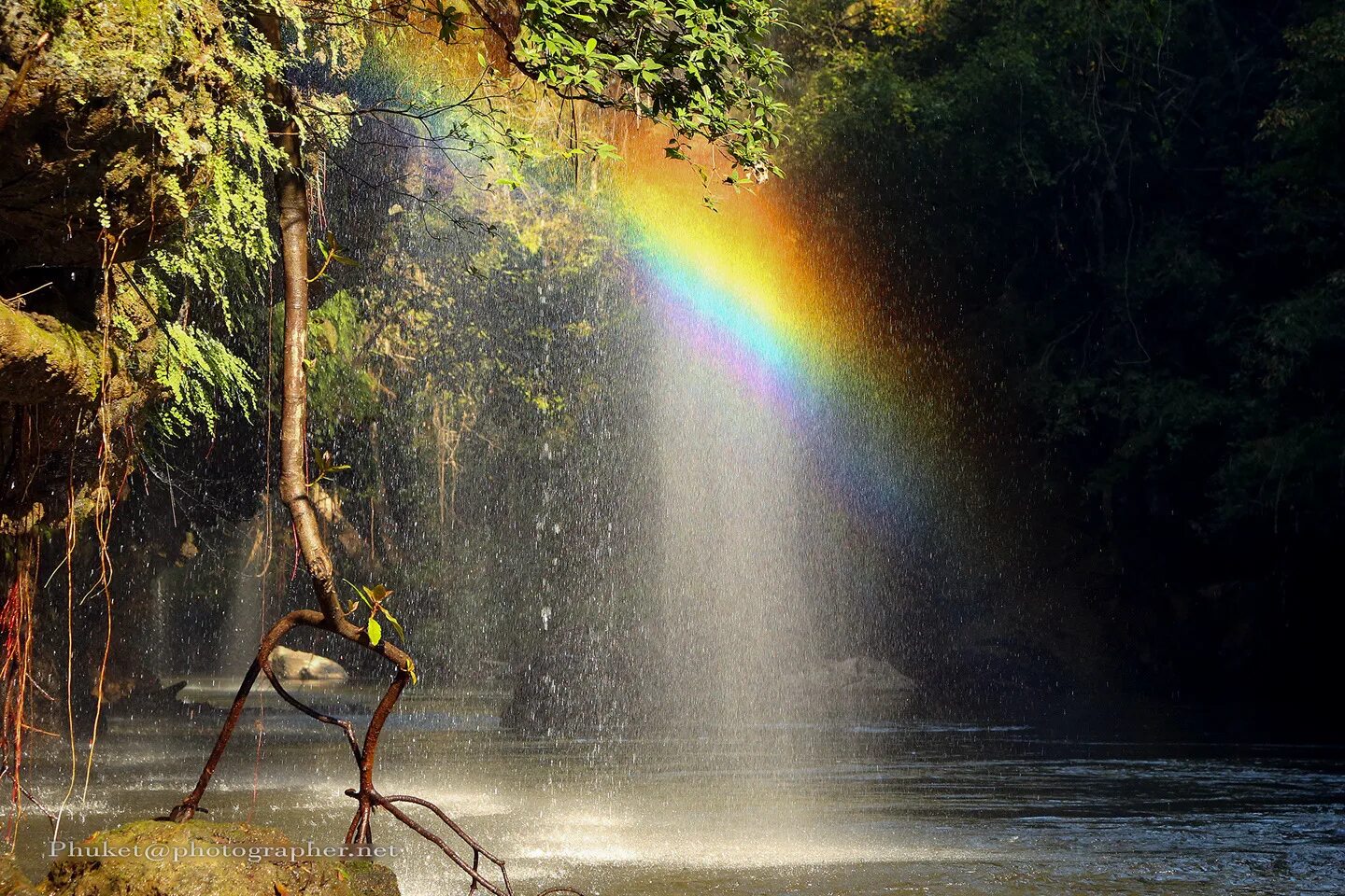 Потоки дождя. Ливень водопад. Rain waterfall. Тропические водопады. Водопад в тропическом лесу.