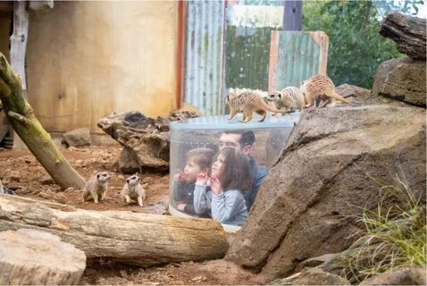 В зоопарке живет необычная компания