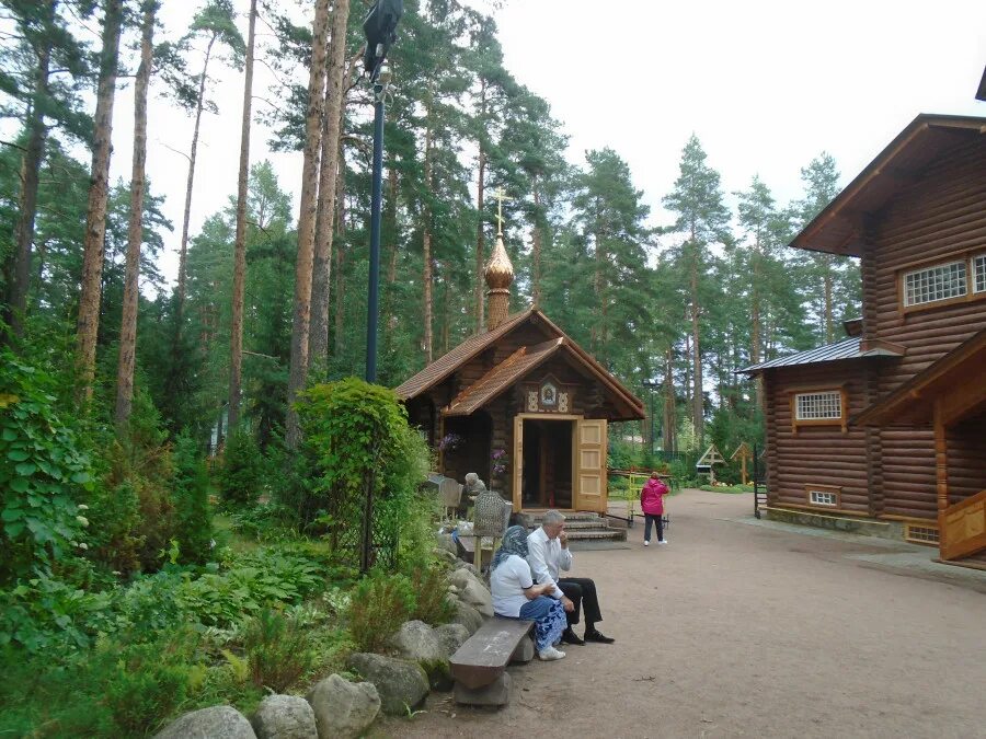 Вырица чаща