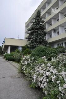 Санаторий родники московская область