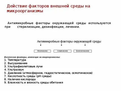 Действие биологических факторов на микроорганизмы