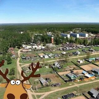 Котово новгородская область